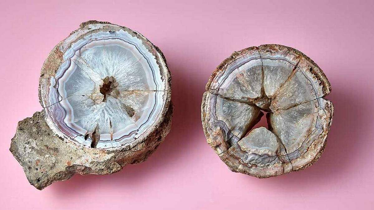 El interior de ágata estaba recubierto por una fina capa blanca, como la cáscara de huevo del animal más grande de la Tierra.