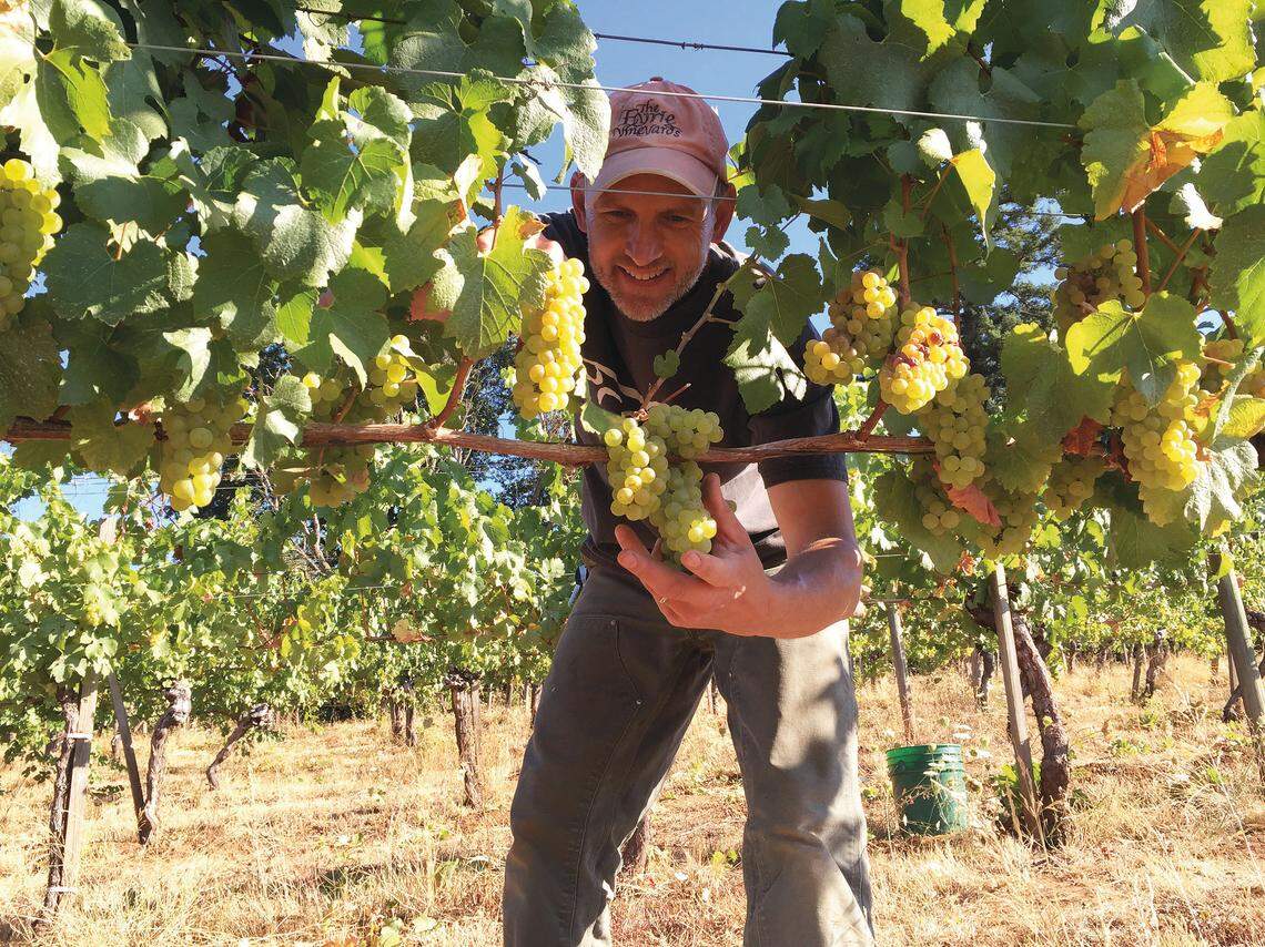 La región vinícola de Willamette, en Oregón (EE.UU), ofrece una experiencia íntima entre viñedos, posadas rurales y productos de granja. 