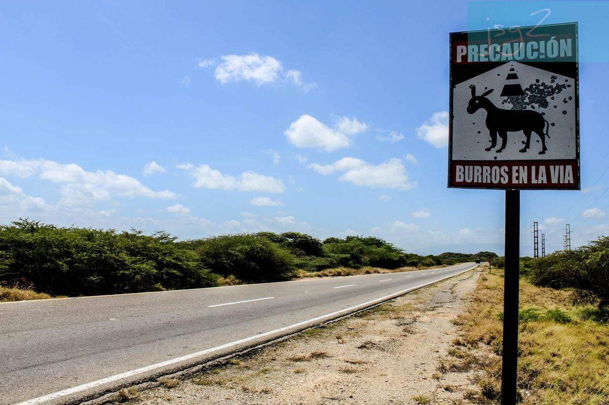 Cartel de advertencia sobre el riesgo de que manadas de burros estén cruazando la vía en la carretera de la península venezolana de Paraguaná. Los equinos están por desaparecer totalmente en la zona, luego que el hambre llevara a los moradores a sacrificarlos para poder comer.