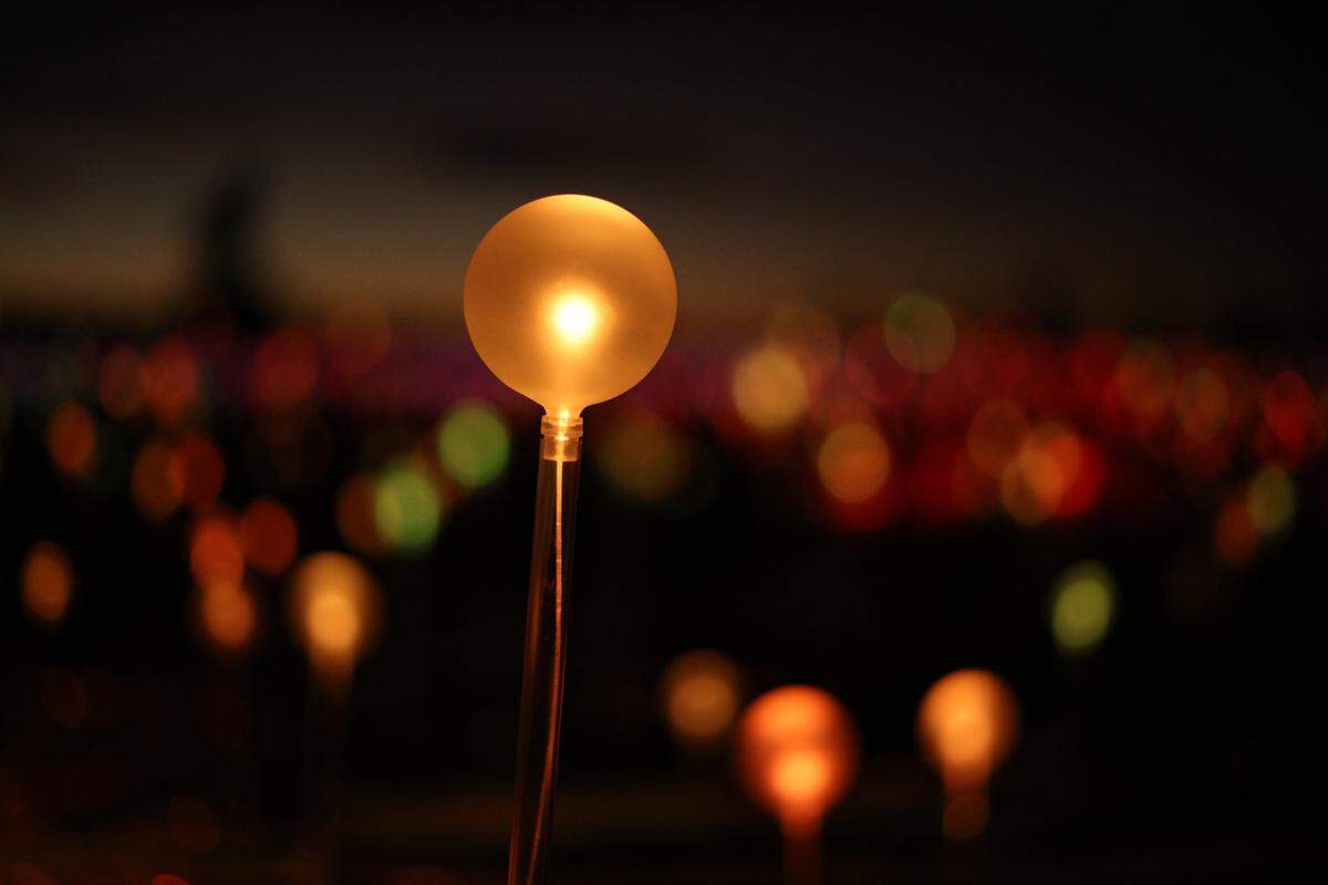 “Bruce Munro: Forest and Field of Light” opens Dec. 4 at Pinecrest Gardens.