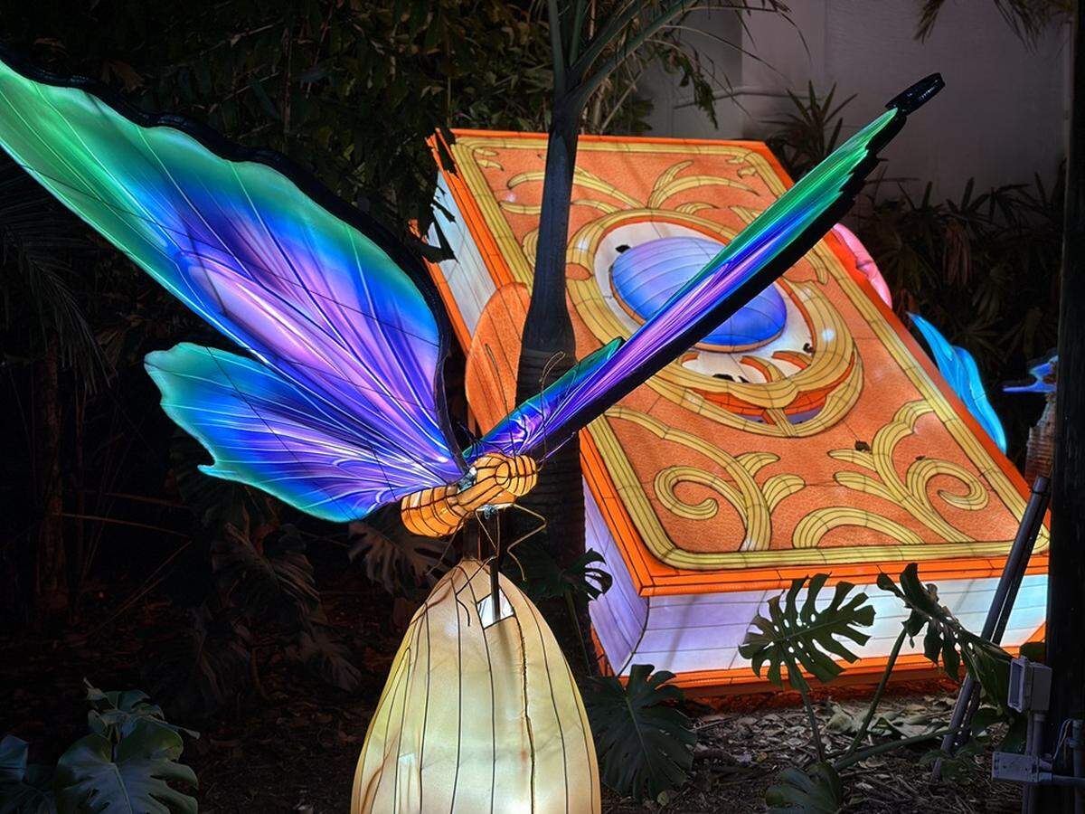 Uno de los aspectos más destacados es la espectacular pasarela de libros, un portal que transporta a los invitados a un viaje de cuento.