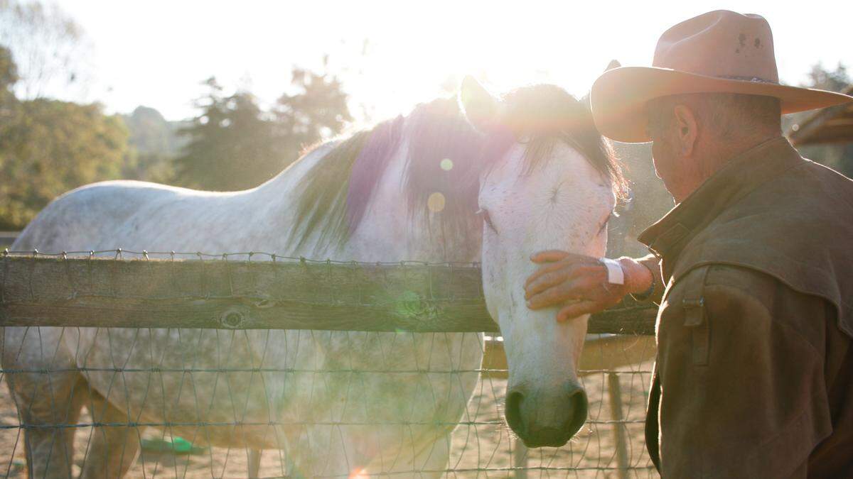 En Coral Gables Art Cinema se presenta ‘The Cowboy and the Queen’ (2023) documental retrata la relación de un entrenador de caballos y una improbable amistad con la reina Isabel II.