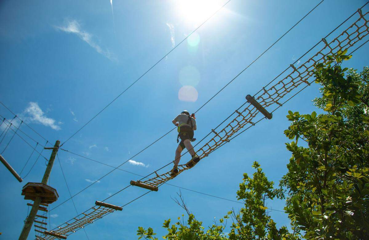 Treetop Trekking aventura encima de los arboles en Jungle Island