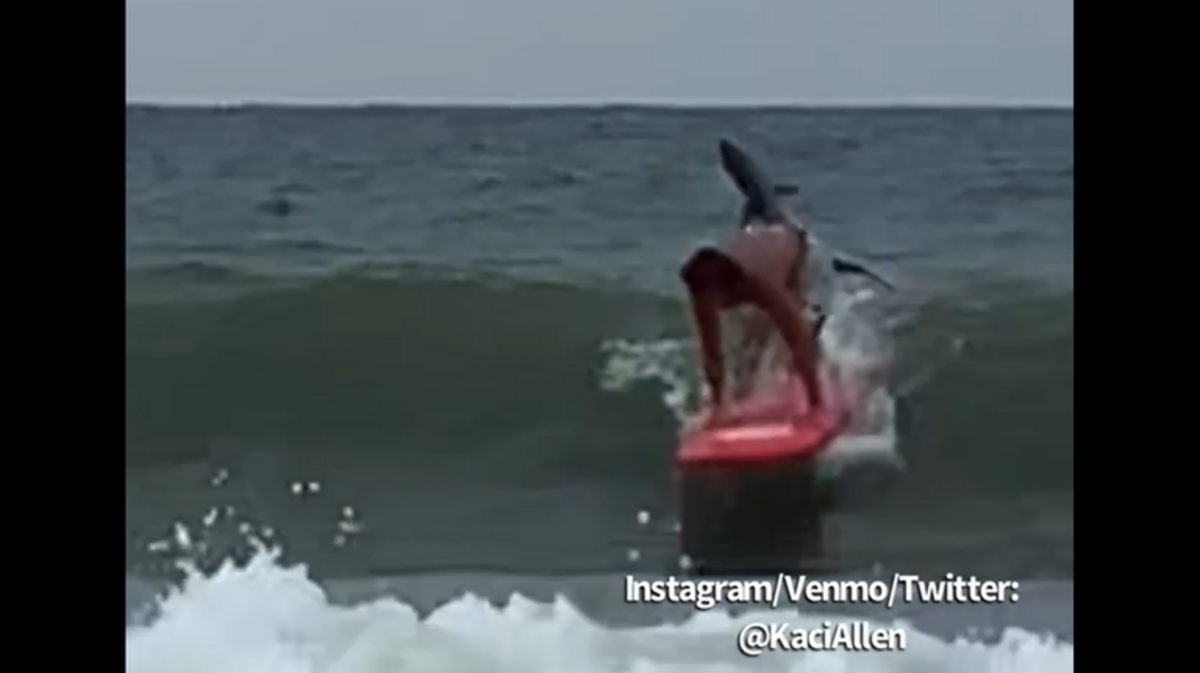 Adolescente que surfeaba en Carolina del Sur tiene encuentro cercano con tiburón.