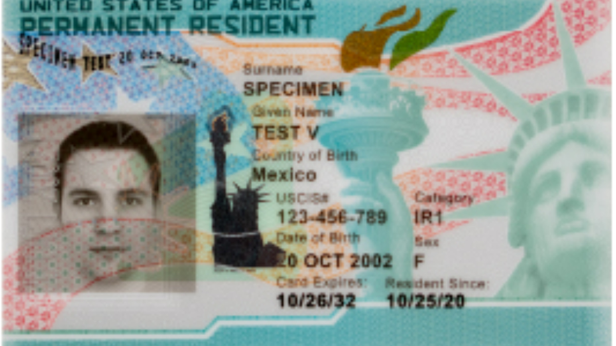 Debe renovar su green card incluso si ha solicitado la ciudadanía.