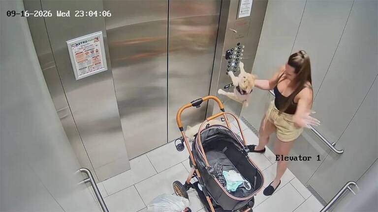 Mujer de Hialeah enfrenta cargos tras ser captada en video golpeando repetidamente a un perro