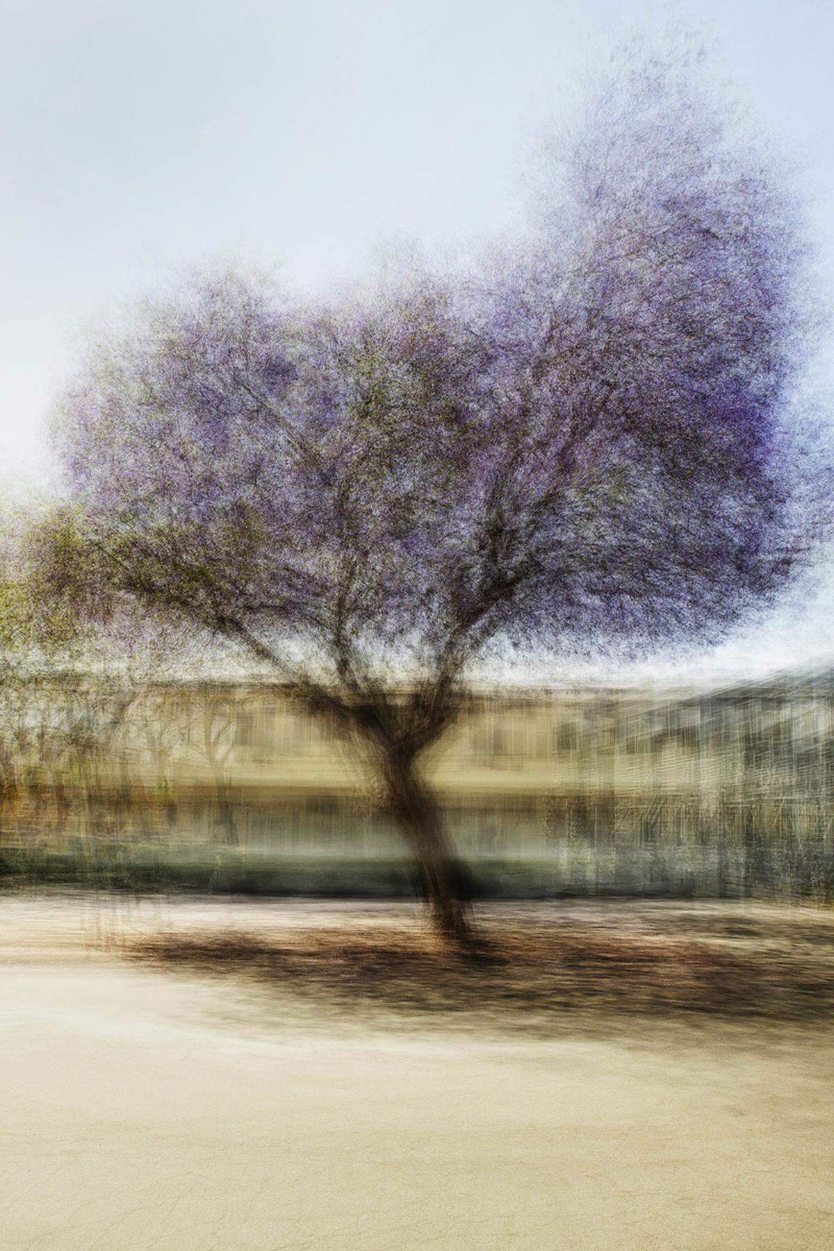 “LA #3”, 2016, fotografía, 7.4 pies de alto, edición de 5.