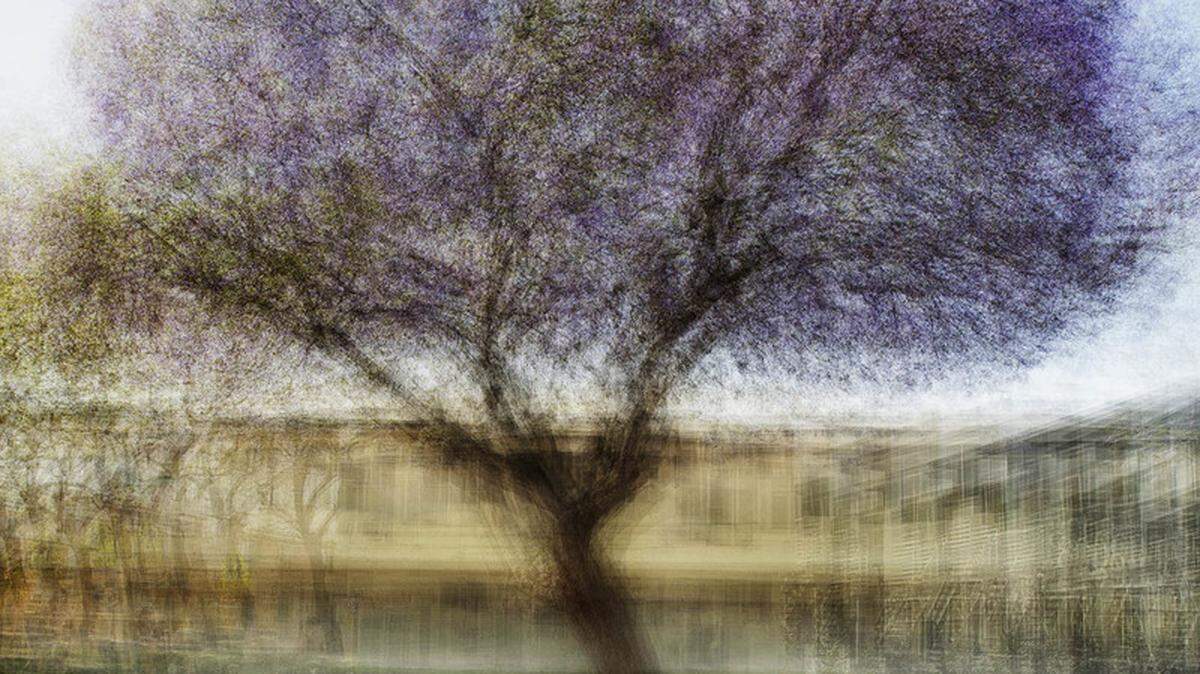 “LA #3”, 2016, fotografía, 7.4 pies de alto, edición de 5.