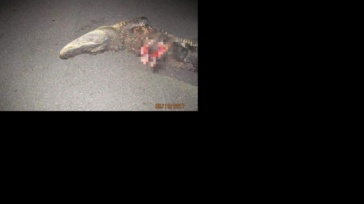 Patrulla de Caminos de la Florida