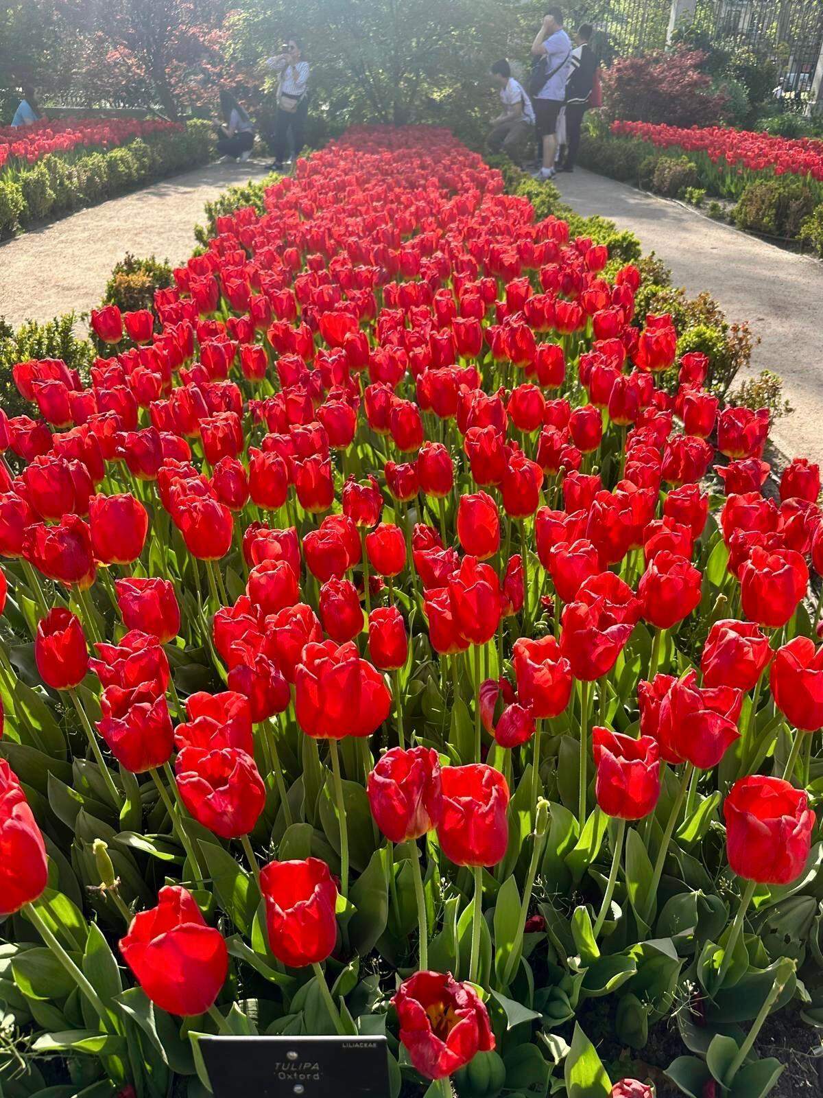 Jardín madrileño en Primavera.