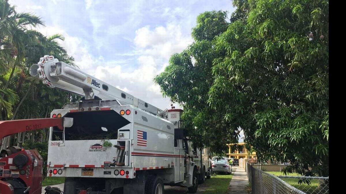Un vecino reportó que alguien había sido electrocutado en la cuadra 1100 de la avenida 8 del este.