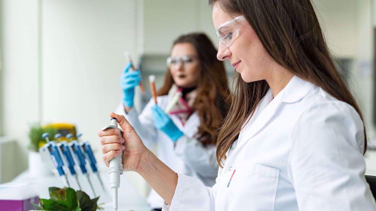 Bionorica® cuenta con procesos de cultivo controlados, es decir, con semillas patentadas seleccionadas, así como con métodos de cultivo estandarizados; y sistemas de producción de alta tecnología, patentados y desarrollados internamente para obtener la mejor calidad.