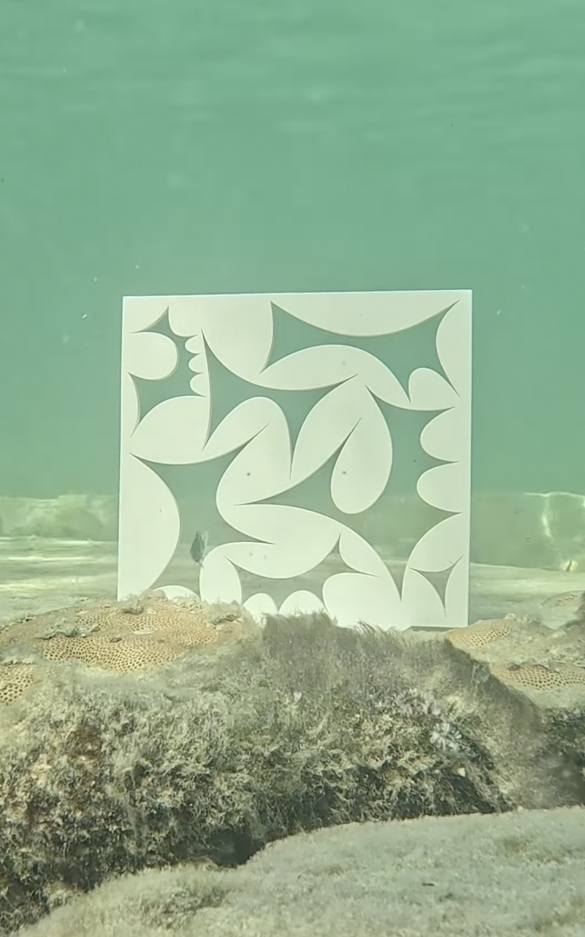 El artista basado en Miami, Gustavo Oviedo crea composiciones vibrantes inspiradas en ecosistemas submarinos, donde la vida marina y objetos transformados por coral reflejan la belleza y fragilidad del océano. En Arlo Wynwood.