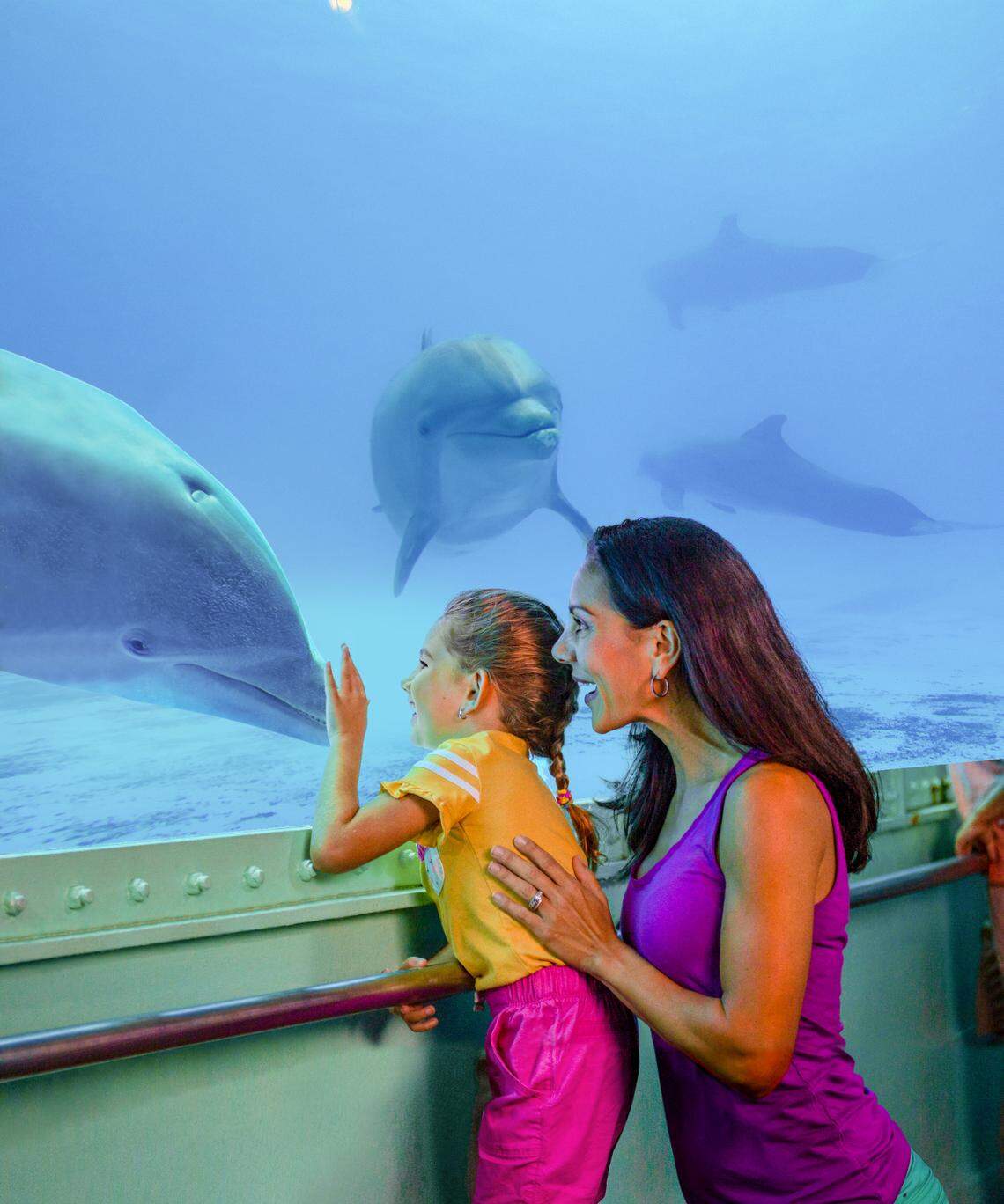 PETA said an excessive number of deaths by trauma is an indication that animals may be confined in spaces that are too small.