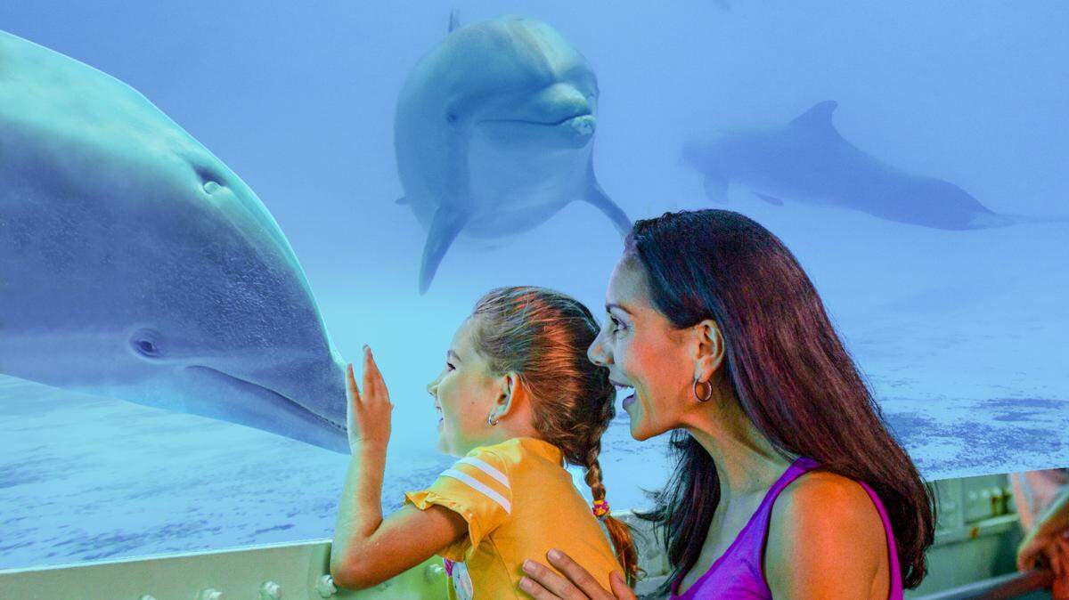 The Miami Seaquarium on Virginia Key has dolphins and sea lions.