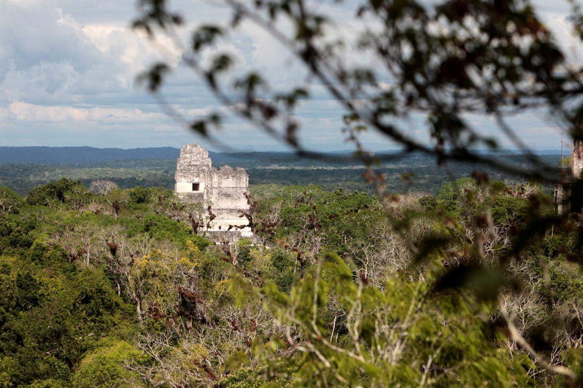 Vista del parque arqueológico Tikal, en el medio de la selva de Petén (Guatemala).