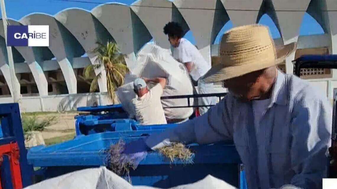 Entre montañas de basura, La Habana inicia su nuevo servicio de triciclos para la recogida