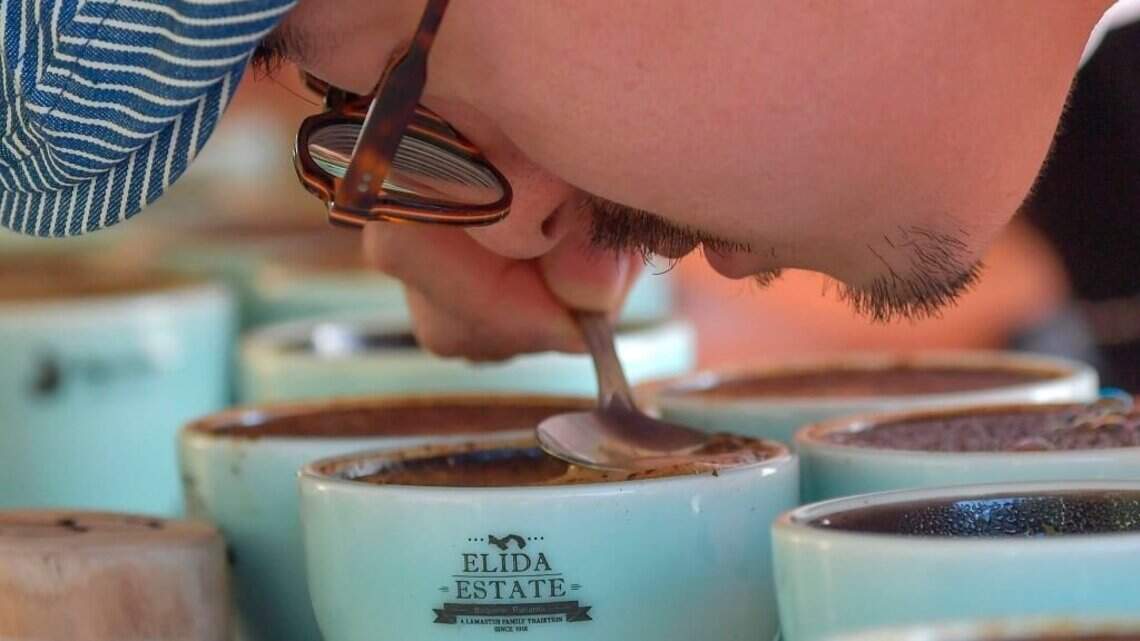 La industria mundial del café se reunirá en una cita inédita en Panamá
