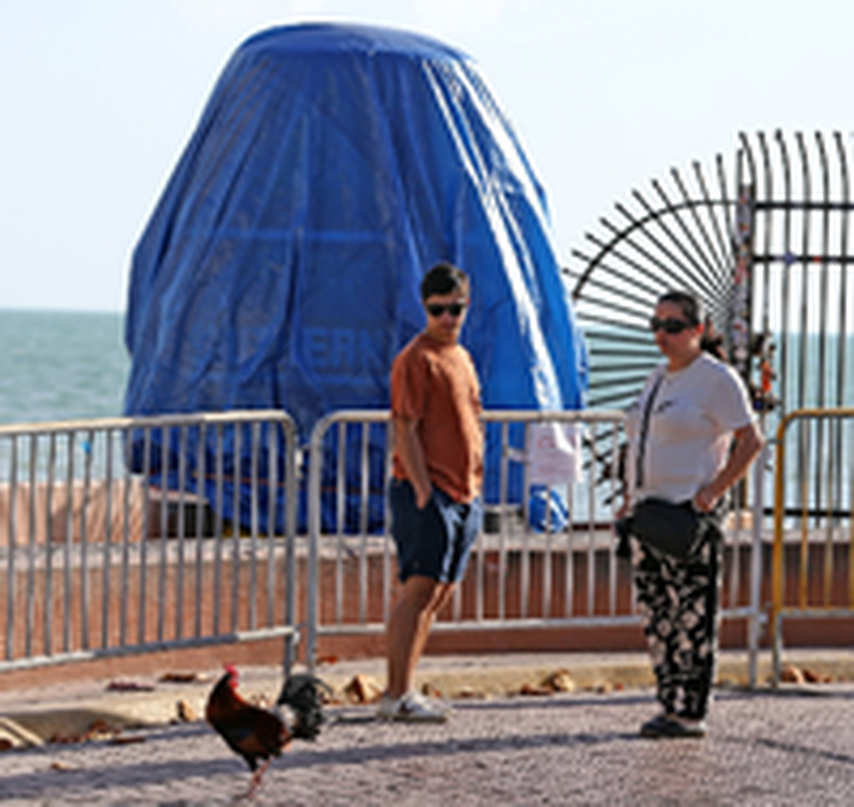 El turista Daniel Komiss mira un gallo en Cayo Hueso junto a la boya que marca el punto más meridional de Estados Unidos el 20 de marzo de 2020.