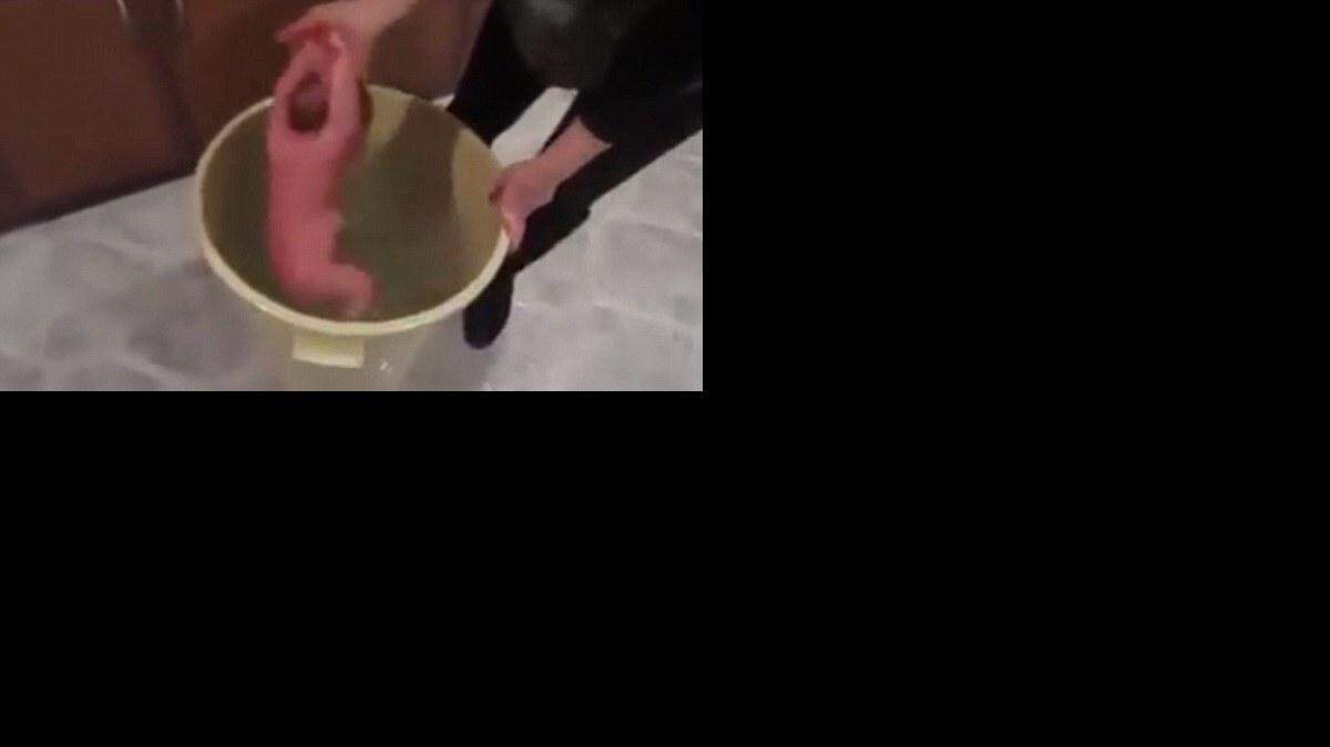 En el video, de casi dos minutos y que muchos medios británicos se han negado a mostrar, aparece una niña cogida de los pies mientras es sumergida reiteradamente en un cubo con agua.