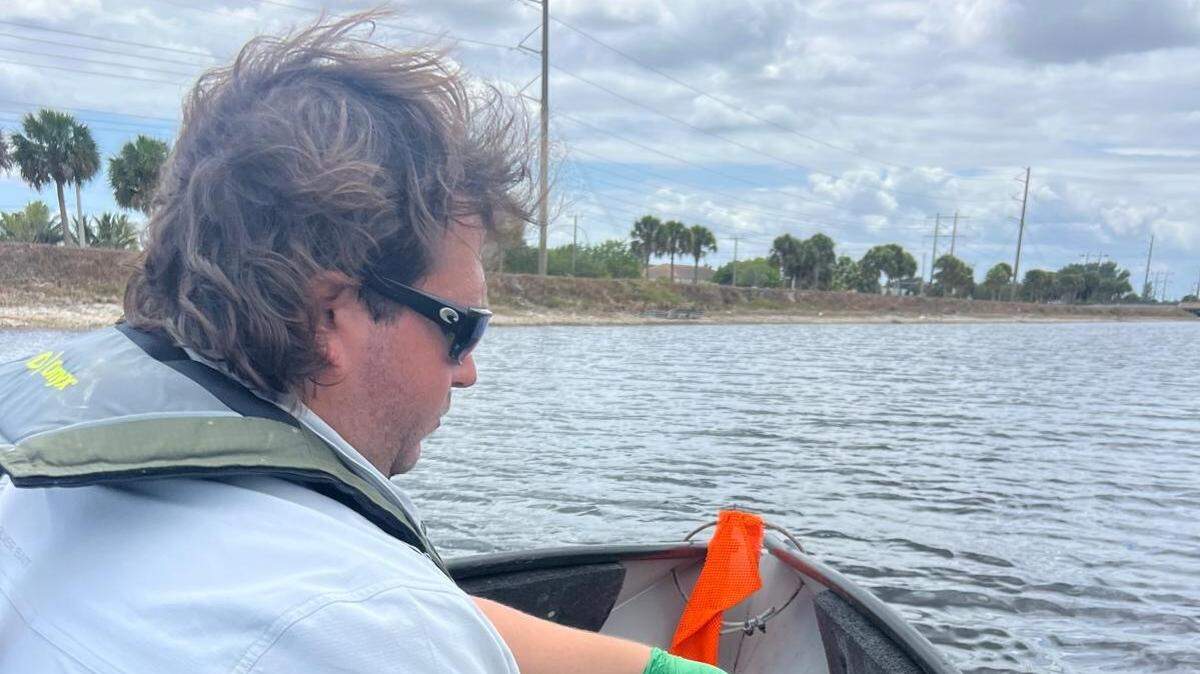 Kevin Olejniczak, biólogo de vida silvestre, toma muestras de agua para detectar la presencia de anguilas asiáticas de pantano mediante pruebas de ADN ambiental a lo largo del canal C-14 en el Condado Broward. Fotografía cortesía de Croc Docs.