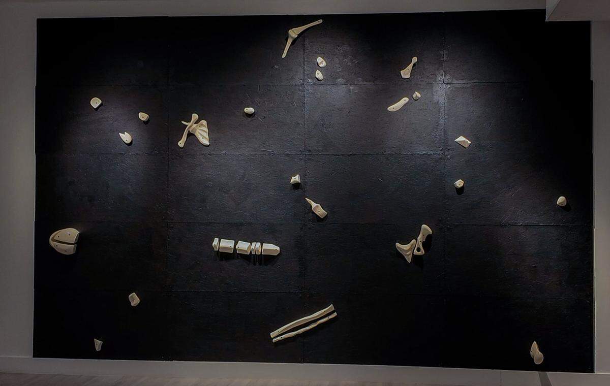 “Diubis”, 2025, técnica mixta y aluminio fundido, 10 x 16 pies.