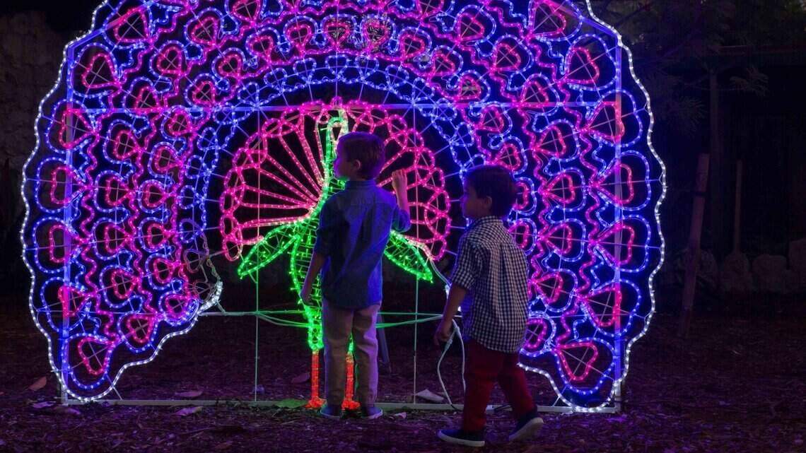 Los 5 mejores planes para brillar entre luces en Miami