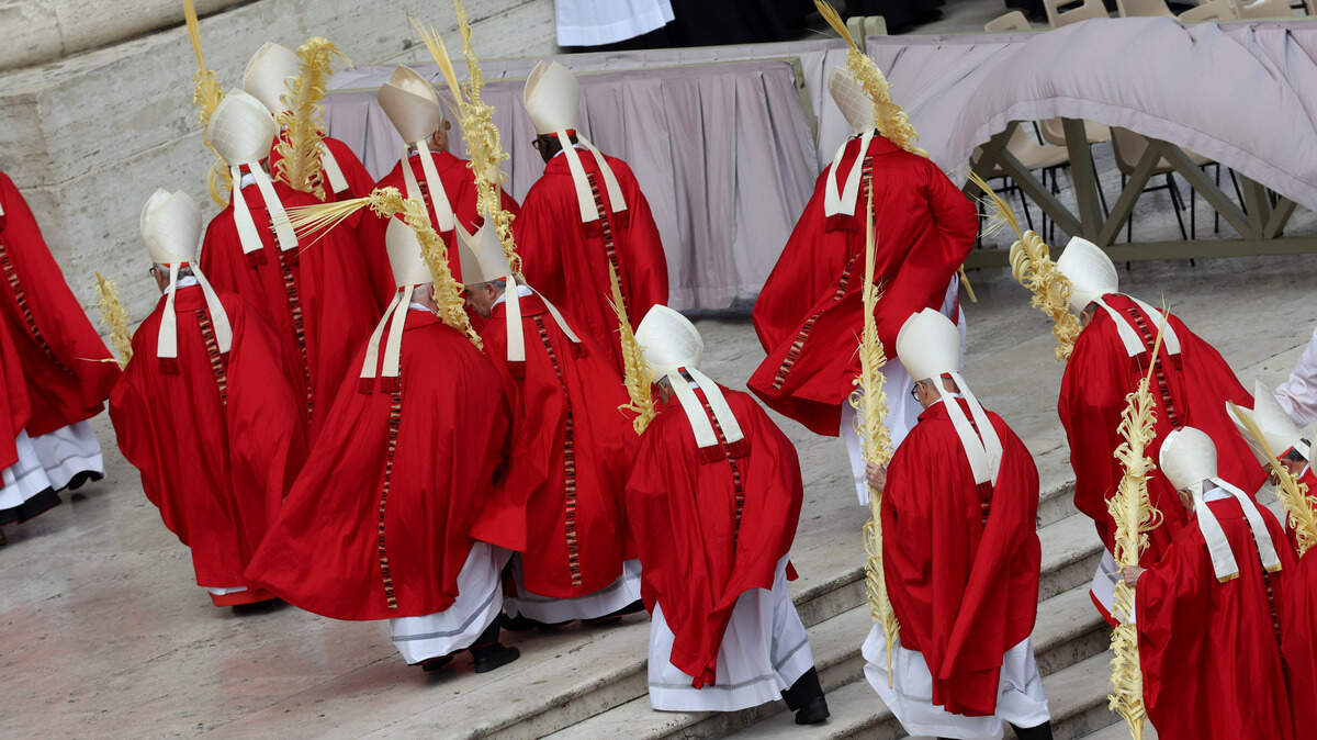 Un grupo de cardenales participa en la celebración de Domingo de Ramos, en la Ciudad del Vaticano, el 13 de abril de 2025.