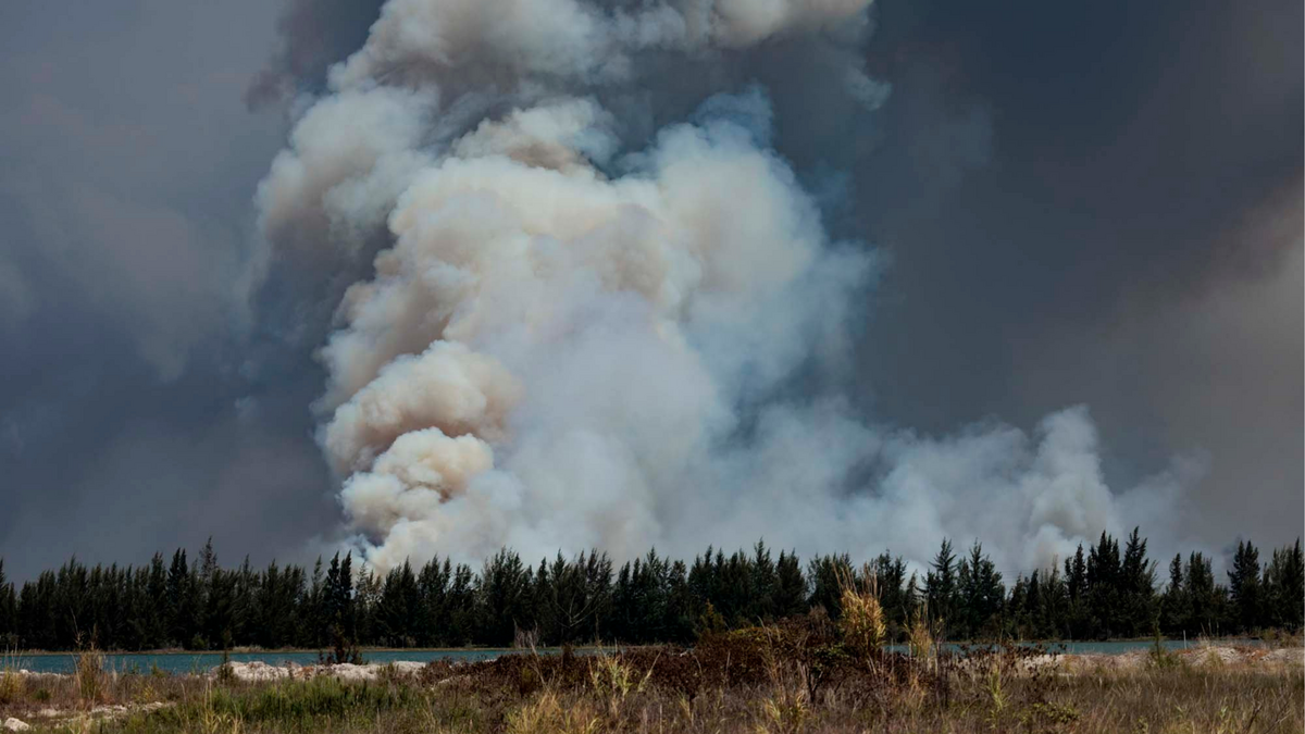 Se observa humo durante un incendio de vegetación el miércoles 17 de junio de 2026, en el oeste de Miami-Dade, justo al oeste de Doral. El incendio abarca 5,300 hectáreas y estaba contenido en un 30 por ciento hasta la mañana del miércoles.