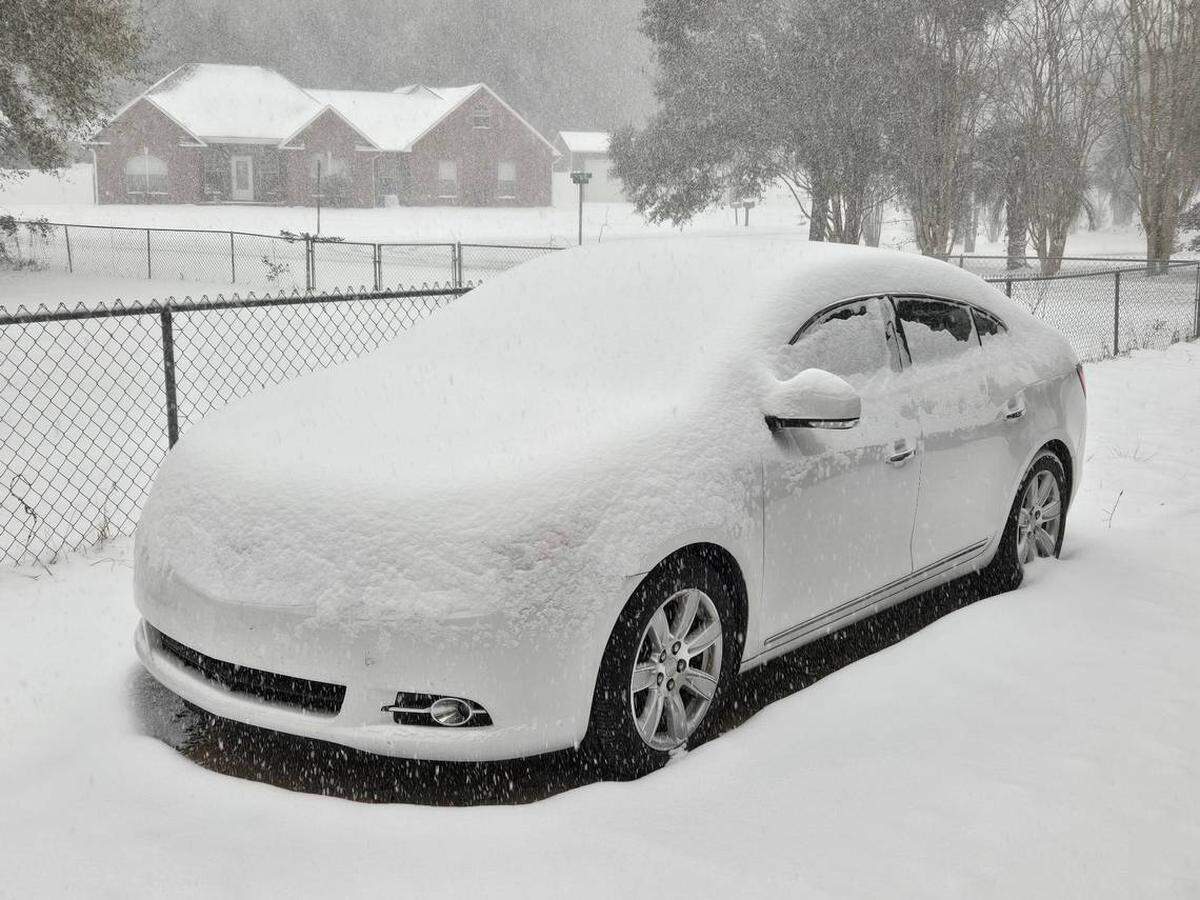 Danny y Cathy Womack, de Pea Ridge, Florida, en el área de Pensacola, colgaron esta foto de su propiedad, después que cayeron nueve pulgadas de nieve en la comunidad el martes 21 de enero de 2025.