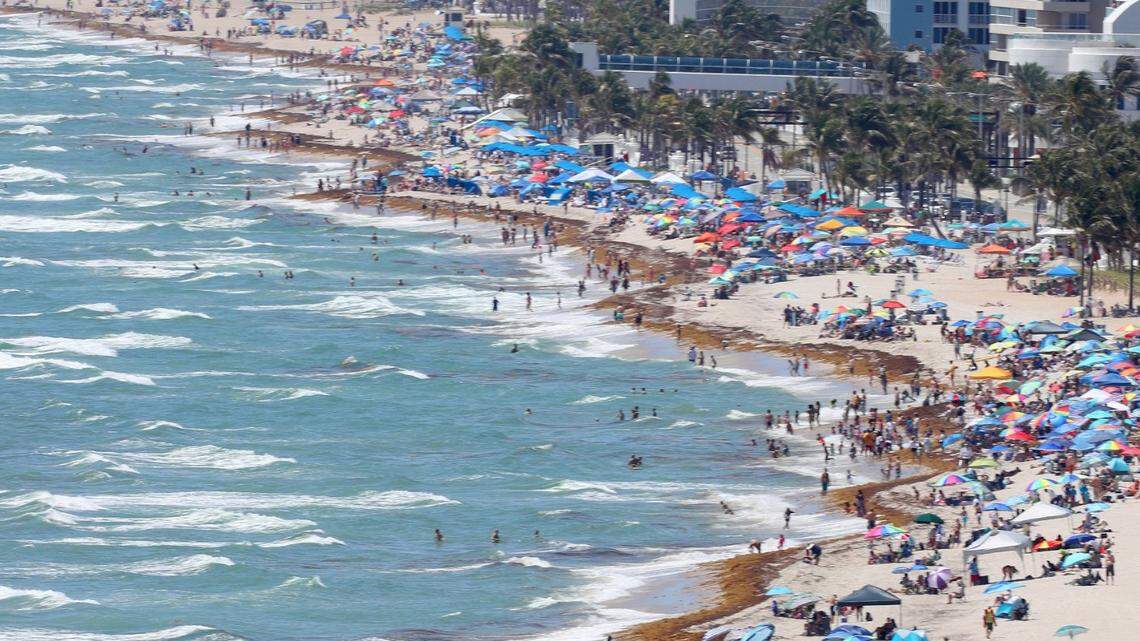 Florida tourism improves in early 2021 — but still struggles