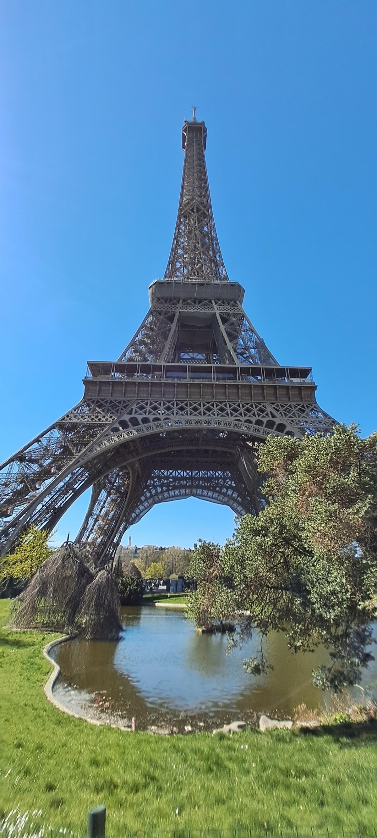 Vista de la Torre Eiffel en el Campo de Marte.