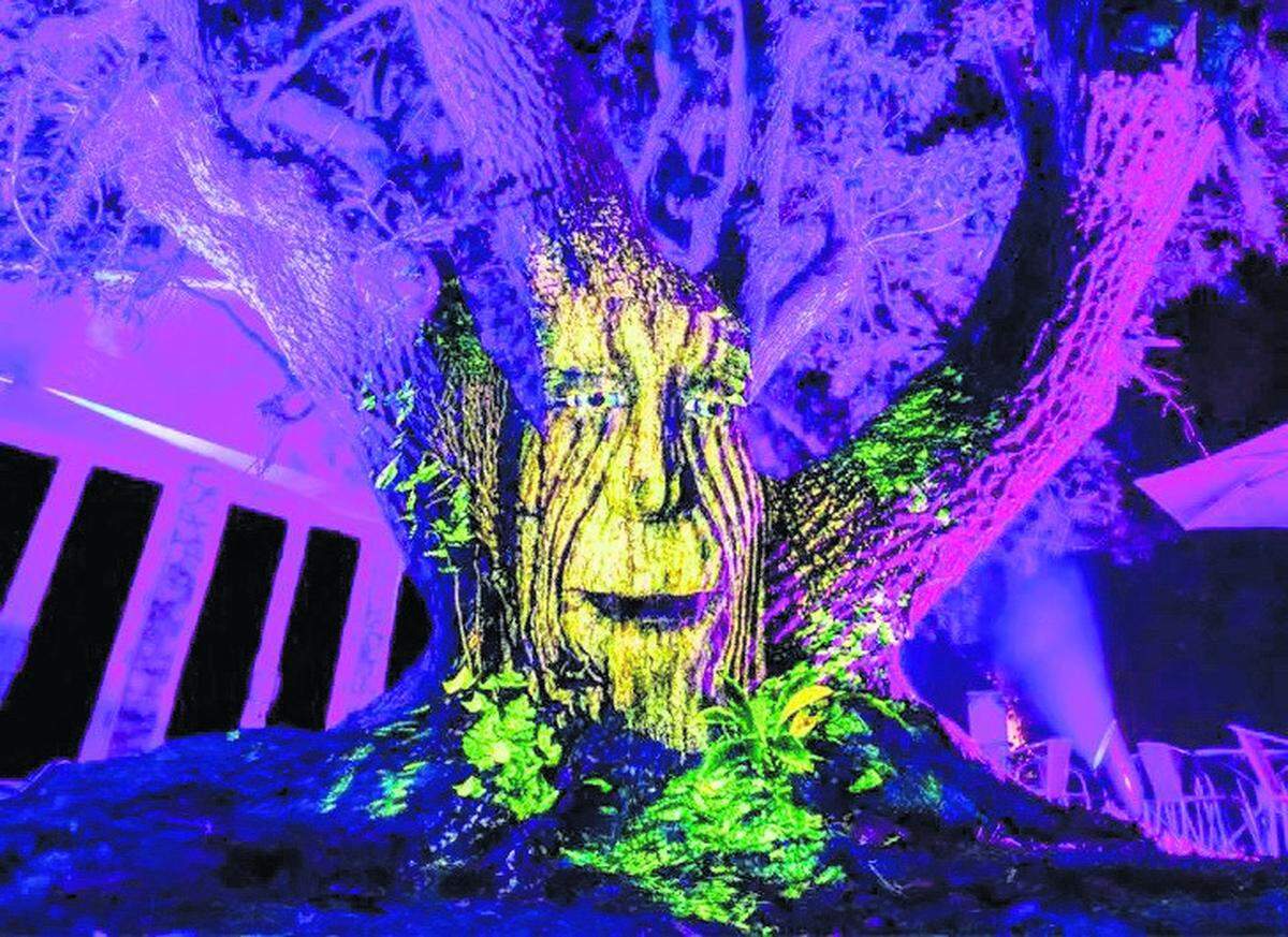El Jardín Botánico Tropical Fairchild se transforma en&nbsp;’The Night Garden’, una experiencia encantada e iluminada llena de fantasía y asombro.