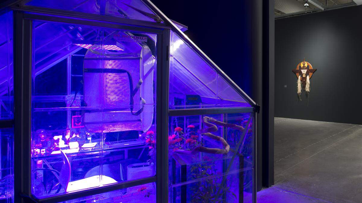 “Vivarium Meconium Lab”, 1994, de Franky Cruz.