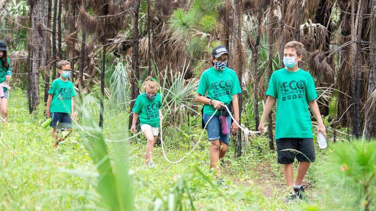 Camp Manatee en Greynolds Park Boathouse, en North Miami Beach y Campamento Black Bear en A.D. (Doug) Barnes Park para campistas de 6 a 14 años donde realizarán excursiones ambientales semanales.