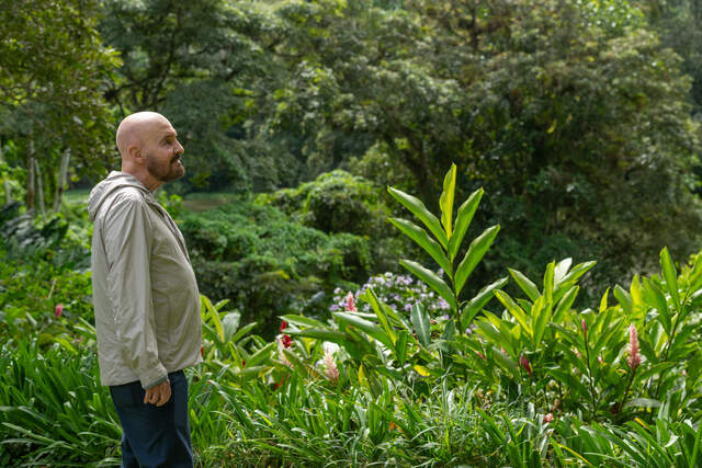 Tomás Sánchez, Foto por Julián Trejos 6.jpg La pasión del pintor Tomás Sánchez por la naturaleza es uno de los aspectos que cautiva del documental ‘Perseverancia’, del realizador mexicano Juan Carlos Martín, quien ofrece un retrato exhaustivo del pintor cubano en su entorno en Costa Rica.