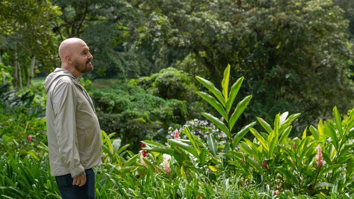 ‘Perseverancia’ triunfa en Miami. Documental sobre Tomás Sánchez invita a explorar el arte cubano