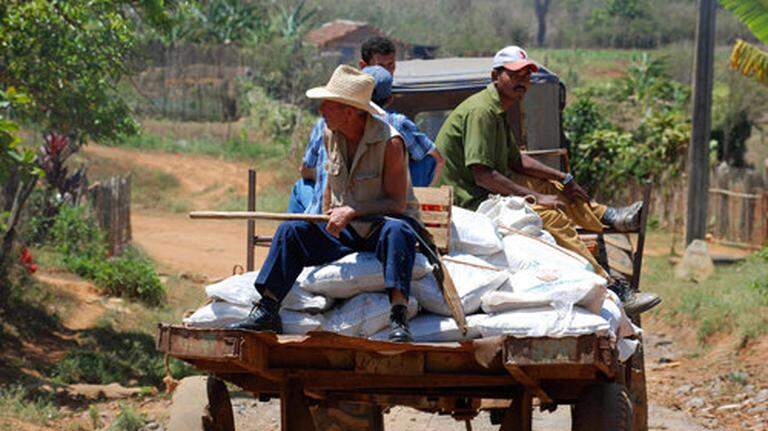 México activa programa agrícola en Cuba con un objetivo clave: evitar que más cubanos emigren