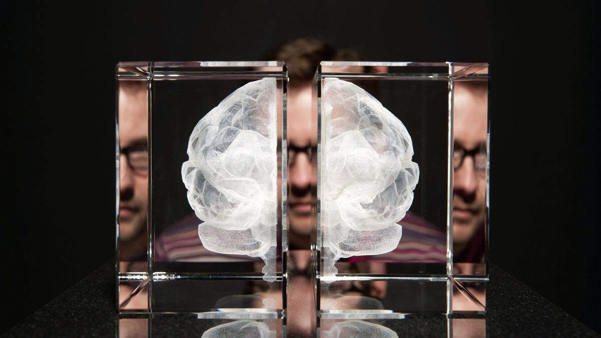 Nuestro cerebro no está infrautilizado. Lo necesitamos en su totalidad las 24 horas del día.
