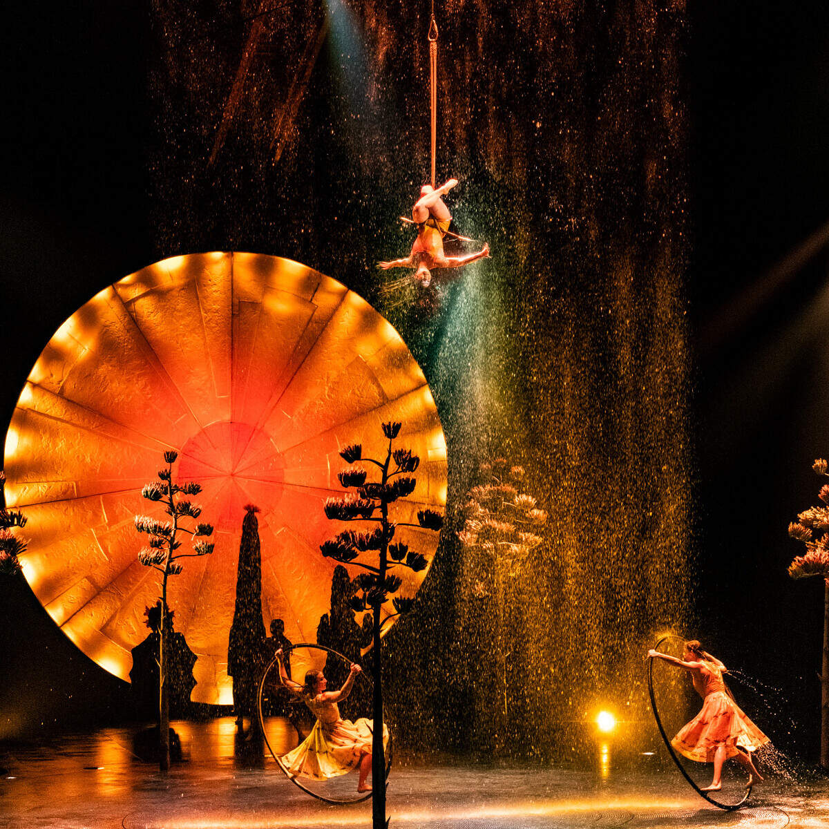 LUZIA de Cirque du Soleil en Miami hasta abril 2026 en el Gulfstream Park