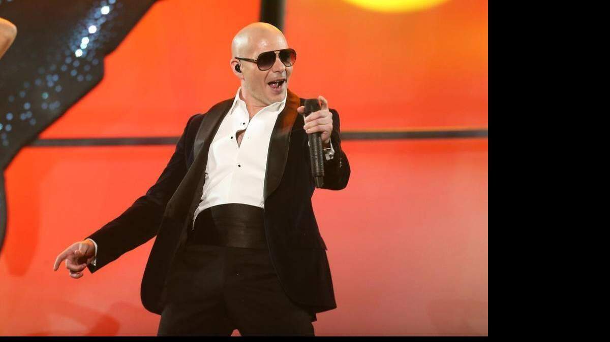 Pitbull     