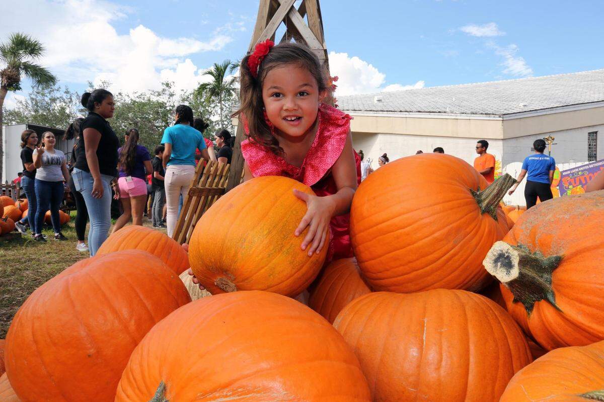 Pumpkin Patch es un huerto para todos en&nbsp;Iglesia Metodista Unida Hope de Miami Lakes.