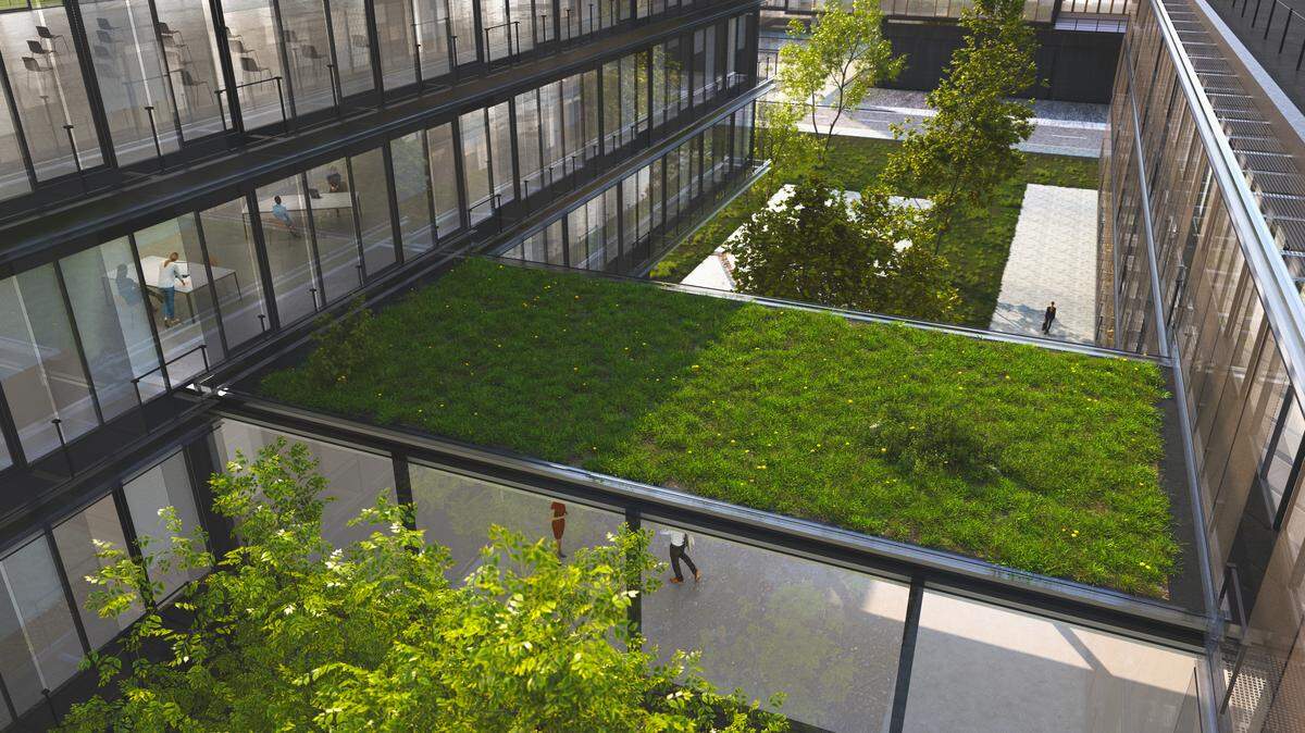 En Estados Unidos y América Latina se están diseñando edificios verdes con jardines integrados para ayudar a eliminar la contaminación del aire.