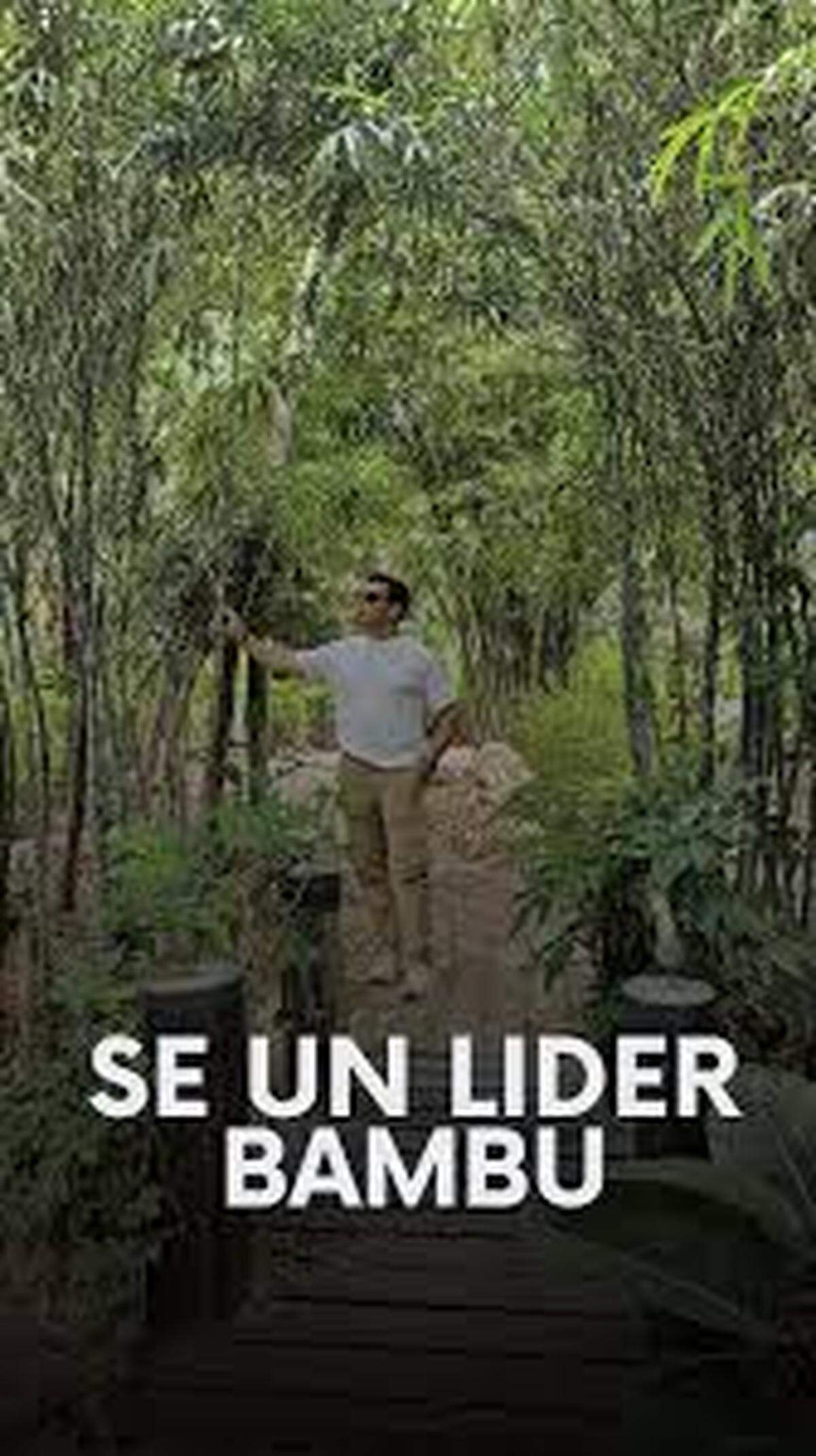 El líder bambú comprende que adaptarse no significa renunciar a sus valores, sino integrarlos en medio del cambio.