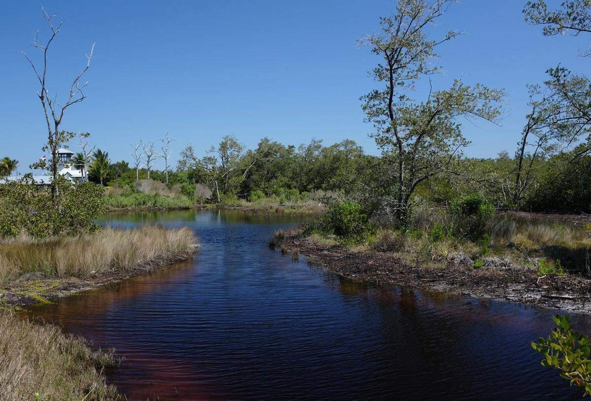 Los pozos de marea resaltan el parque más nuevo del condado de Manatee, Neal Preserve.