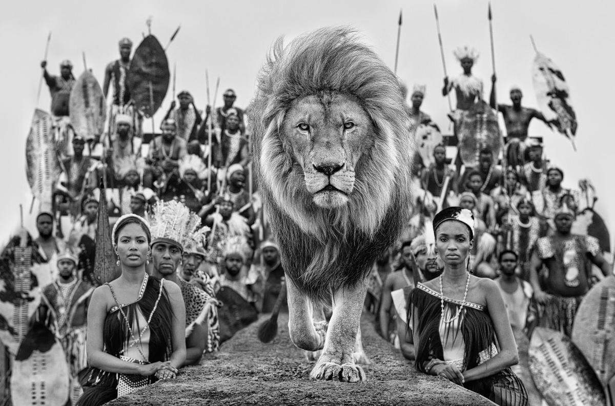 'Catwalk', 2021, de David Yarrow.