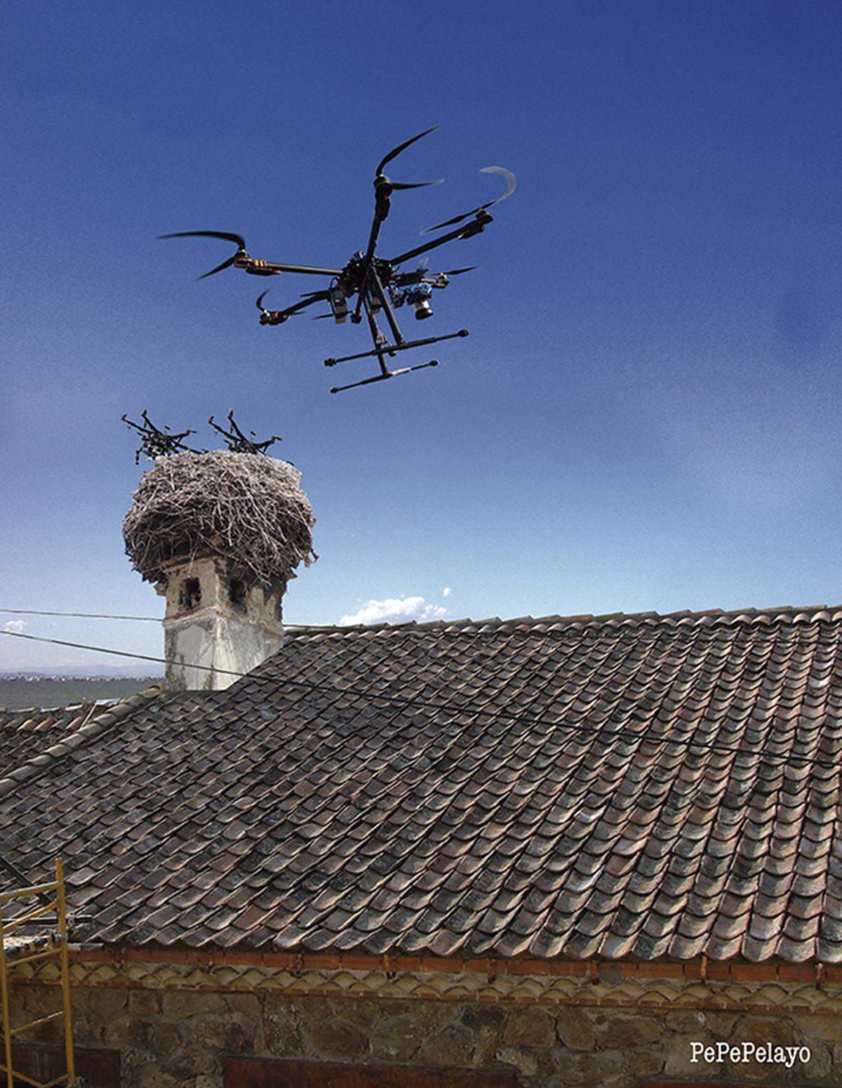 Photochístesis 19