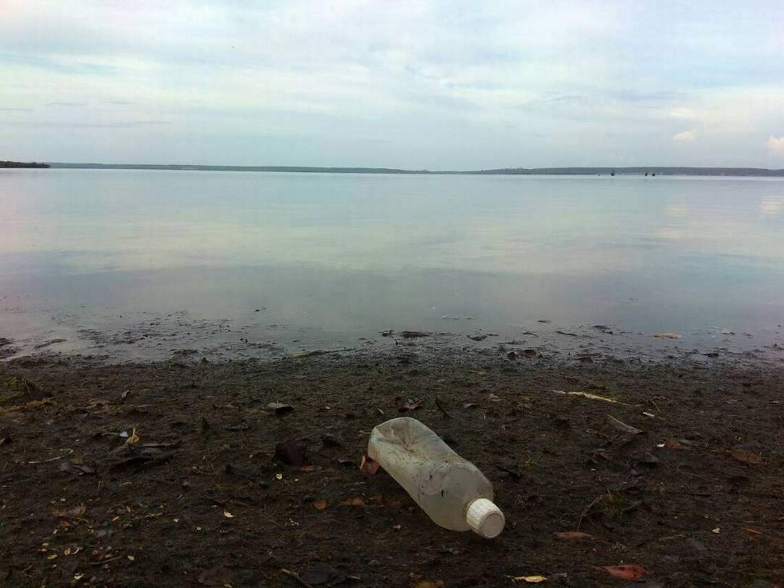 Researchers in the city have detected the presence of microplastic in the waters of the bay. This, together with heavy metals ingested by fish, can be harmful once they are consumed by humans.