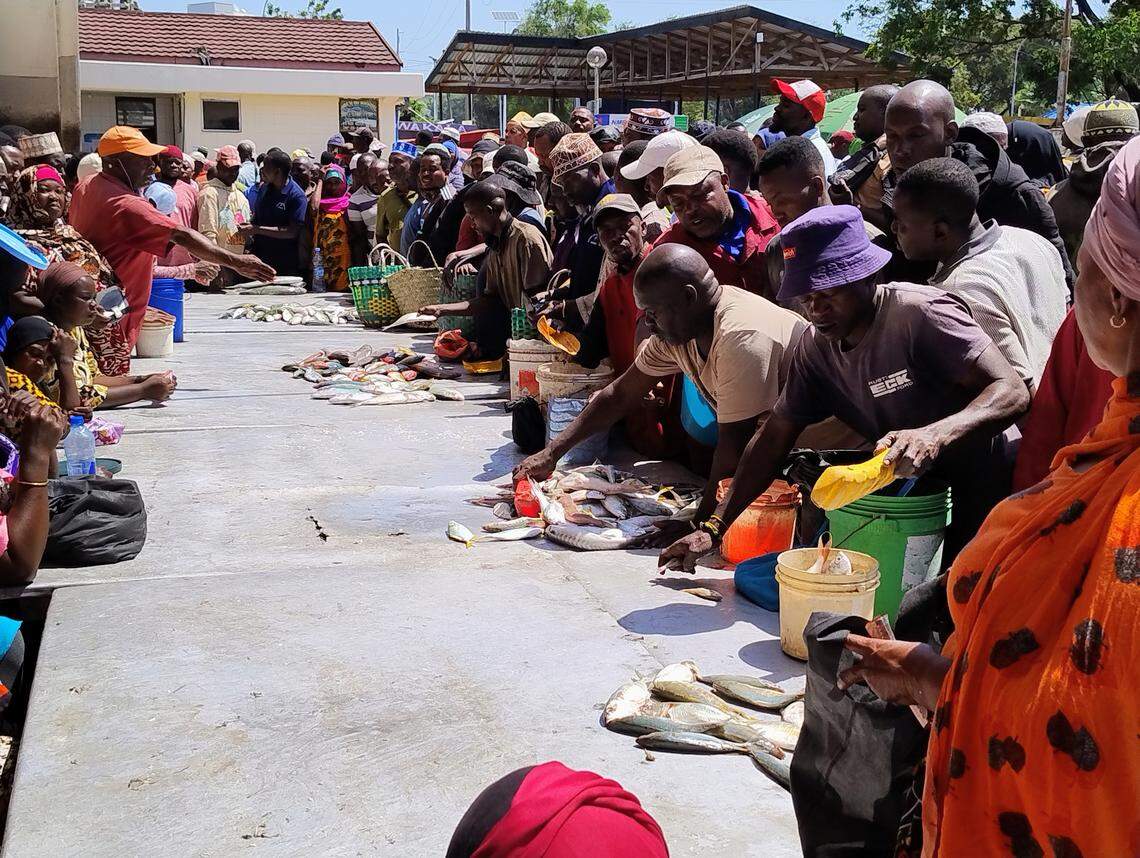 Imprescindible de visitar es el mercado de pescado Kivukoni, ubicado en una de las salidas al mar de la bahía.