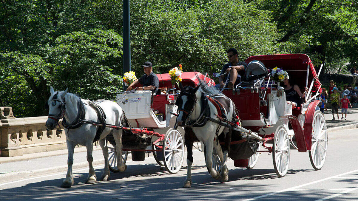 Foto de archivo. El joven indio Romanch Mahajan falleció tras el accidente que sufrió el miércoles en un carruaje de caballos en el que viajaba en Central Park, Nueva York.